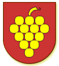 Wappen Winikon-Gschwader